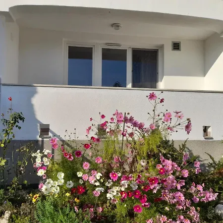 Demizson Panzio Kehidakustány