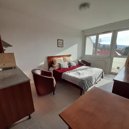 Bed and breakfast Demizson Panzio