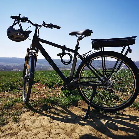 Demizson Panzio Kehidakustány