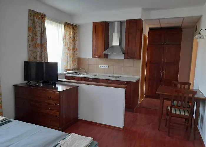 Demizson Panzio 3* Kehidakustány