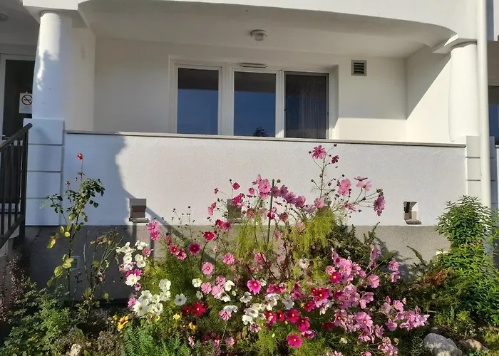 Demizson Panzio Kehidakustány