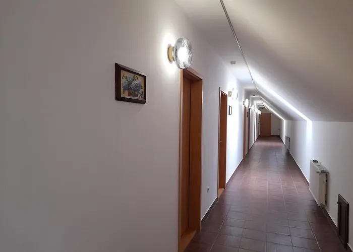 Panzió Demizson Panzio