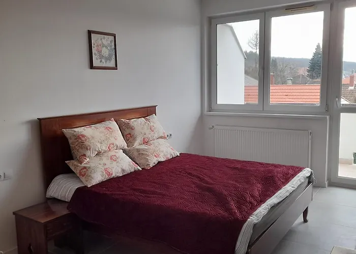 לינה וארוחת בוקר Demizson Panzio Kehidakustány