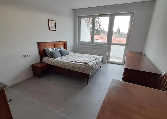 Demizson Panzio 3* Kehidakustány