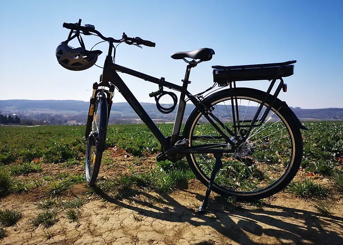 Demizson Panzio Kehidakustány